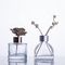 Aufbereitete Klarglas-Diffusor-Flaschen/prägten Aromatherapie-Glasflaschen